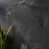 Graphite Gray selected