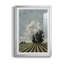 Copse Of Trees - reproduction de cadre photo-711527311-711527315