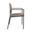 Chaise d'invité Chat Chat-98671299-98882116