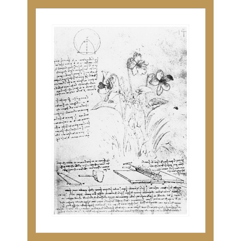 Étude botanique fol. «14r from the Codex Atlanticus» par Leonardo da Vinci, impression giclée sur cadre