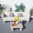 Shenia Outdoor Upholstered Coversation Set