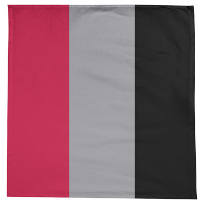 Toronto Basketball Tablecloth