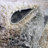 Abstract Indoor Rug-359678784