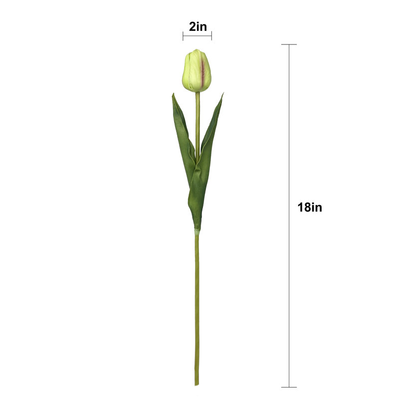 Tulip Arrangement, Green