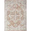 Lago Vista Washable Oriental Indoor Rug-238510487