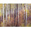 # 2 par Bruce Heinemann - Photographie avec cadre