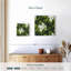Harnek, jasmin, vignes et fleurs-109232615