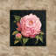 « pivoine », reproduction d’art sur toile-20901414