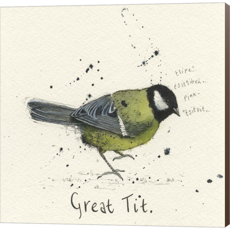 «Great Tit» par Michelle Campbell - reproduction d'art sur toile tendue, H 24 po x l 24 po x P 1,5 po