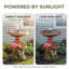 Fontaine de bain Flamingo Solar Bird