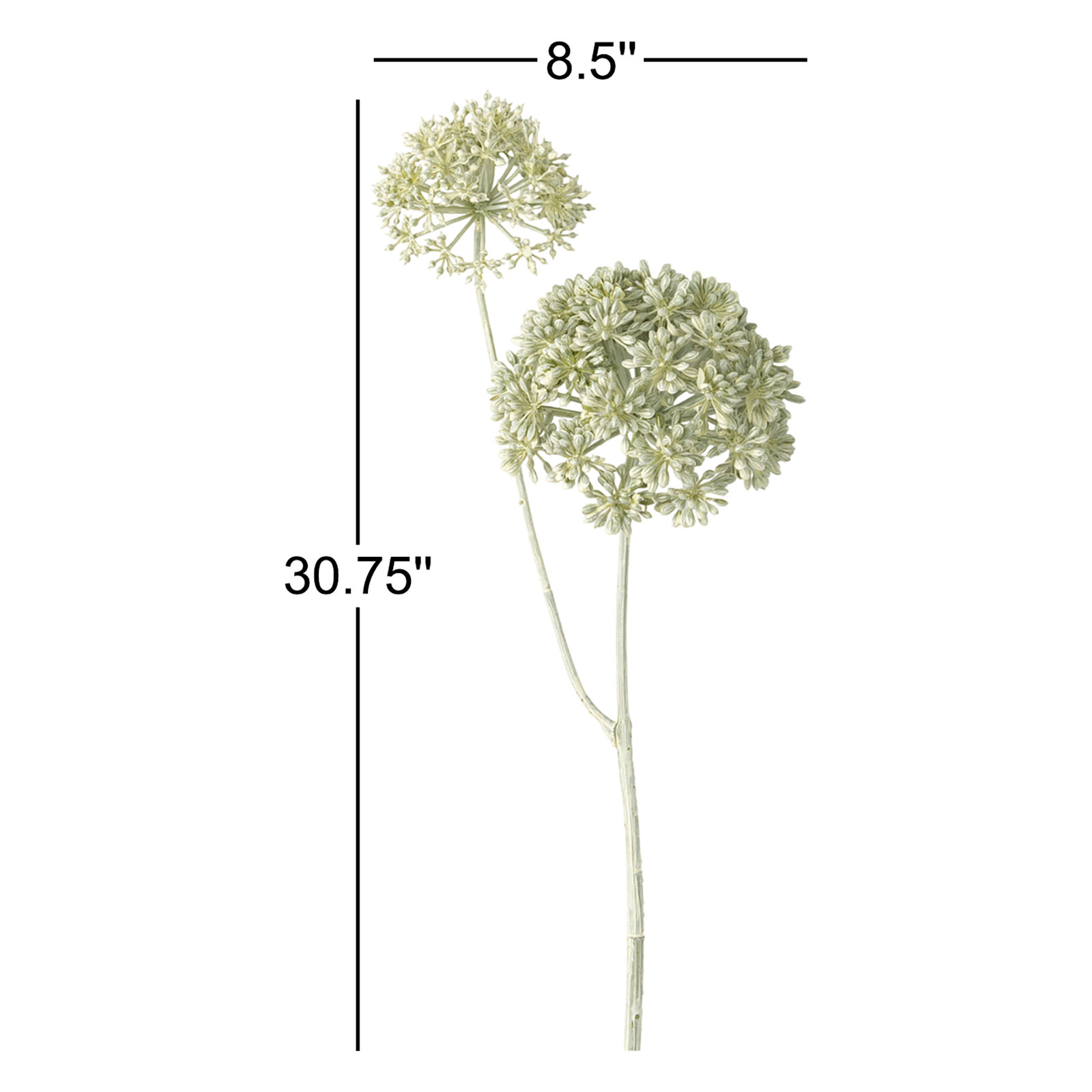 30.75" Eucalyptus Seed, Light Green