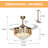 Damiun 42'' Ceiling Fan with LED Lights