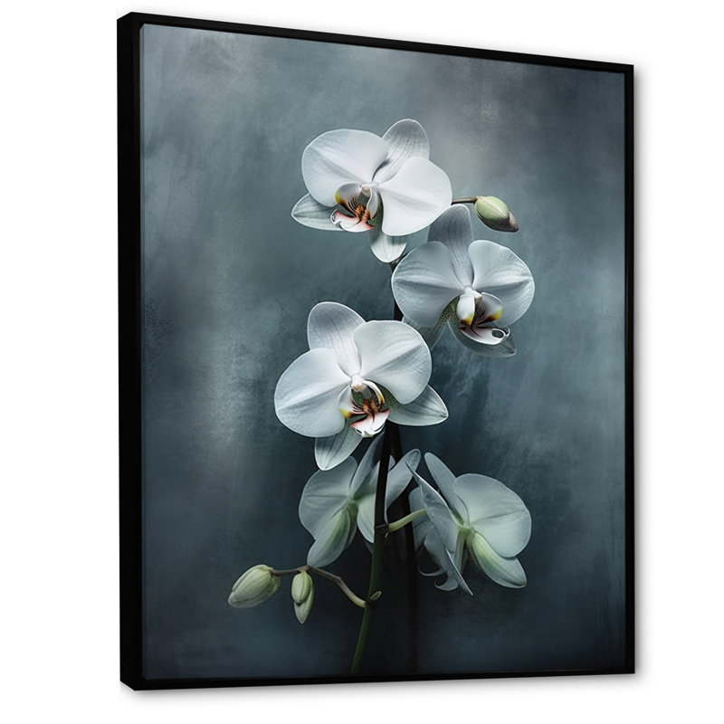 Orchidées exotiques blanches II, H 40 po x l 30 po x P 1,5 po, Cadre flottant noir