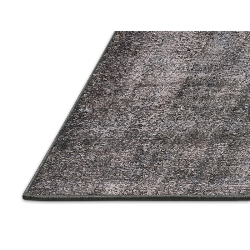 Ishaan Indoor Rug, Rectangle 2' x 3'