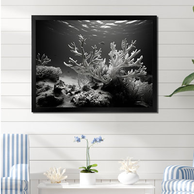 " Black And White Coral Anemone Kingdom V "