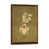 Classic Brown Wood Framed is unavailable
