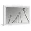 Just Another Cool Cali Morning II by Morgan Hartley - Single Picture Frame Print-1468813361