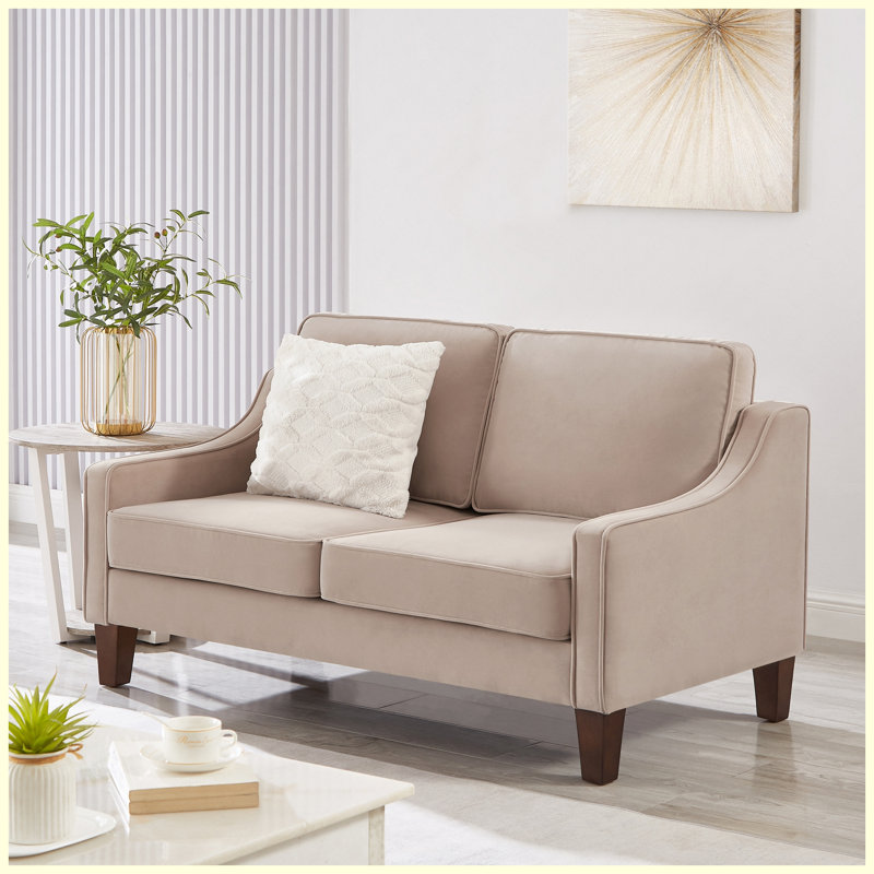 Canapé Canapé 2 places avec coussin de siège à ressorts, canapé rembourré en velours avec pieds en bois d'hévéa massif et housses amovibles, assemblage facile pour le salon, la chambre à coucher - taupe
