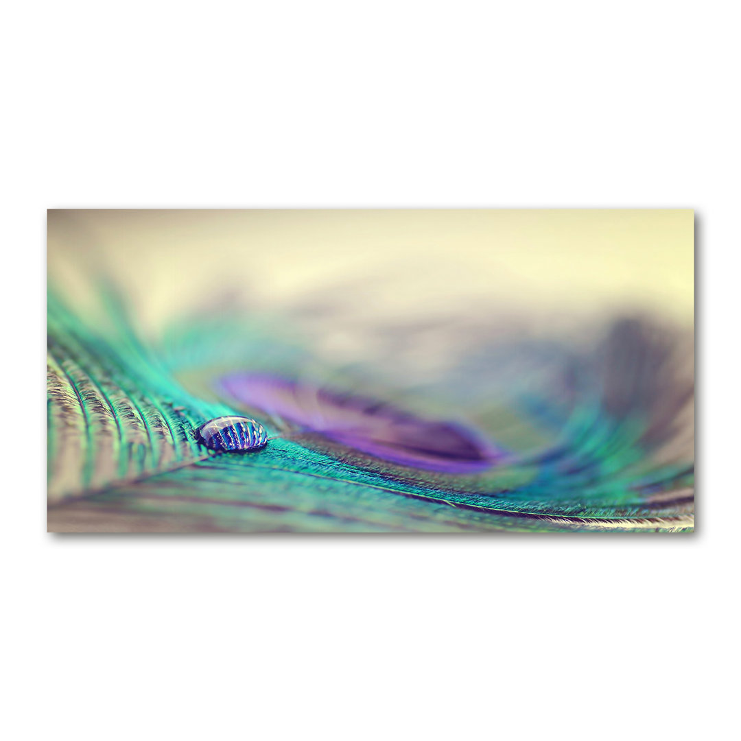 Drop on the Feather - Kunstdrucke auf Leinwand - Wrapped Canvas