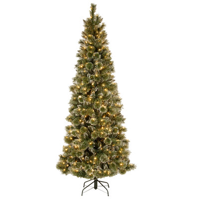 National Tree Company 7.5ft. Glittery Bristle Pine Slim Tree with LED Lights -  GB3-319-75