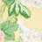 Bermuda Blossoms Fabric-50800644