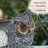 Riegel Ceramic Statue Planter
