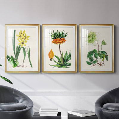 Reproduction encadrée antique de qualité florale antique - prête à être accrochée