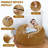 7ft Pre-filled Memory Foam Bean Bag Chair-276360954-275931866