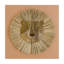 Lion Wall Décor