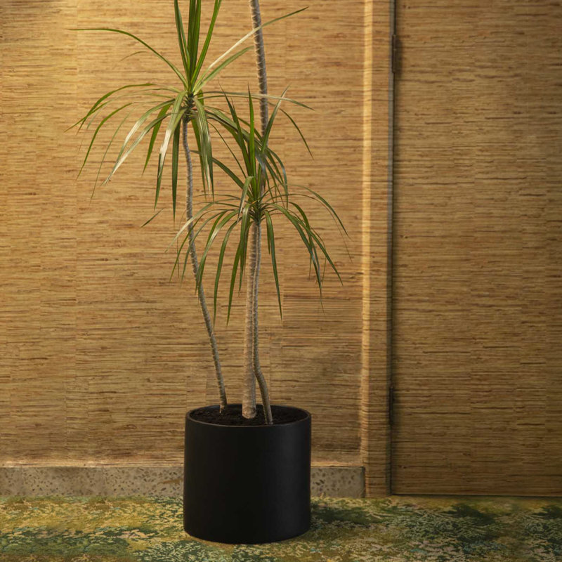 Handmade Ceramic Planter, 10" H x 11.8" W x 11.8" D, Black