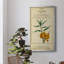 Linnaean Botany III - Peinture sur toile encadrée-817435060-817435071