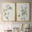 Toile encadrée de qualité supérieure Wispy Botanical I - prête à être accrochée-1622420742-1622420794