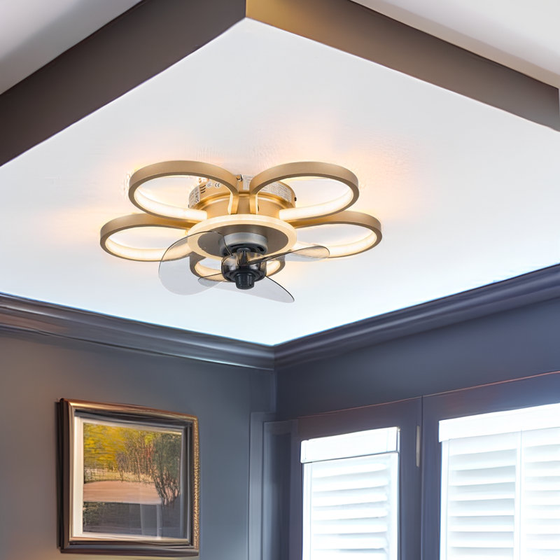 Ventilateur de plafond 20 po avec lumières DEL Franzius