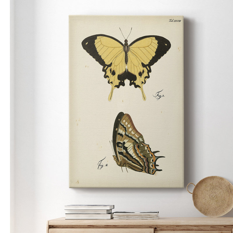 «Butterfly Profile I», peinture sur toile tendue, H 18 po x l 12 po x P 1 po