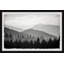 Pinetree Forest - Single Picture Frame Print-1567911460