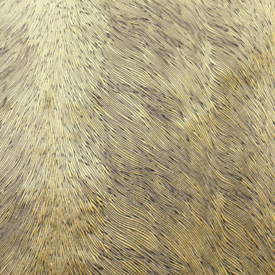 Fabric