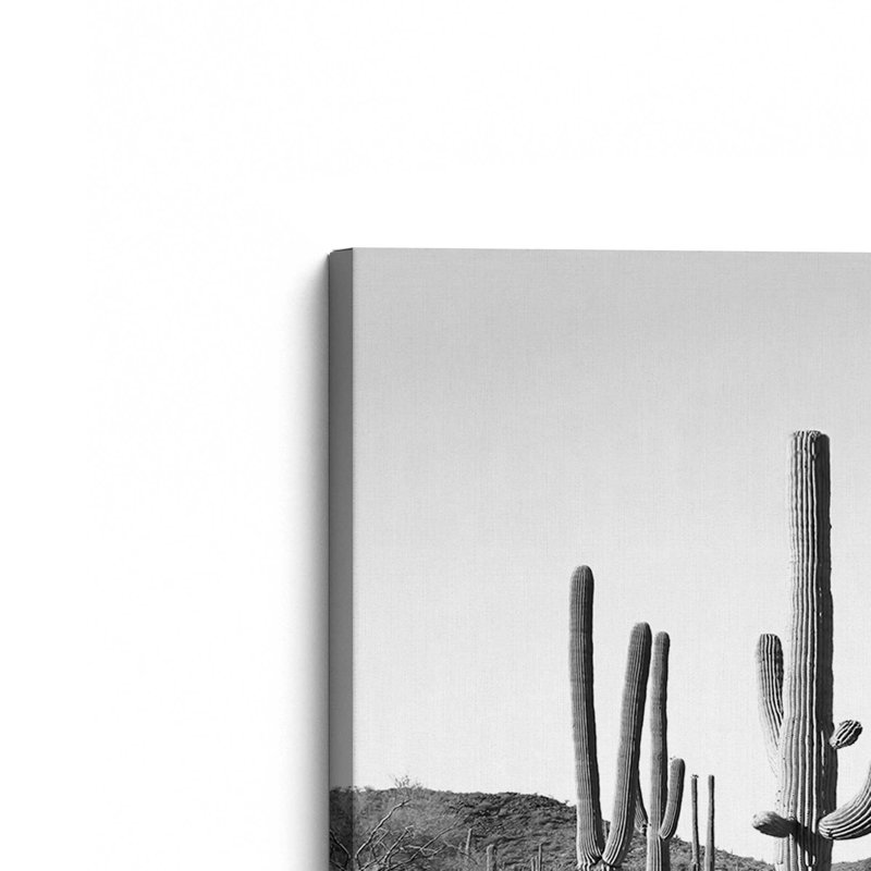 «Gray Cactus Land» par Garima Dhawan, reproduction d'art sur toile, H 30 po x l 40 po, Toile tendue, Ne s’applique pas