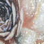 Blush Bloom - art mural
