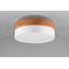 Rennan 3-Light 50cm LED Integrated Flush Mount-1555410740