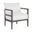 Santa Barbara Patio Chair-83260330-83260337-120640857