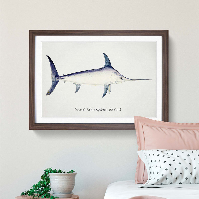 Illustration of a Swordfish by F.E. Clarke - Picture Frame Graphic Art Print, Walnut Framed, 27cm H x 36cm W x 2cm D