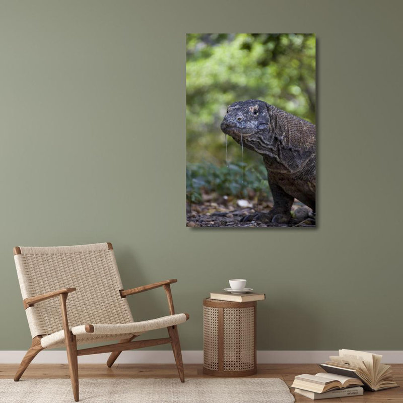 Shimlock, art de la galerie Jones, gros plan, dragon de Komodo, parc national de Komodo, Indonésie, H 40 po x l 28 po