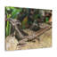 No Frame Print on Canvas-1846954649