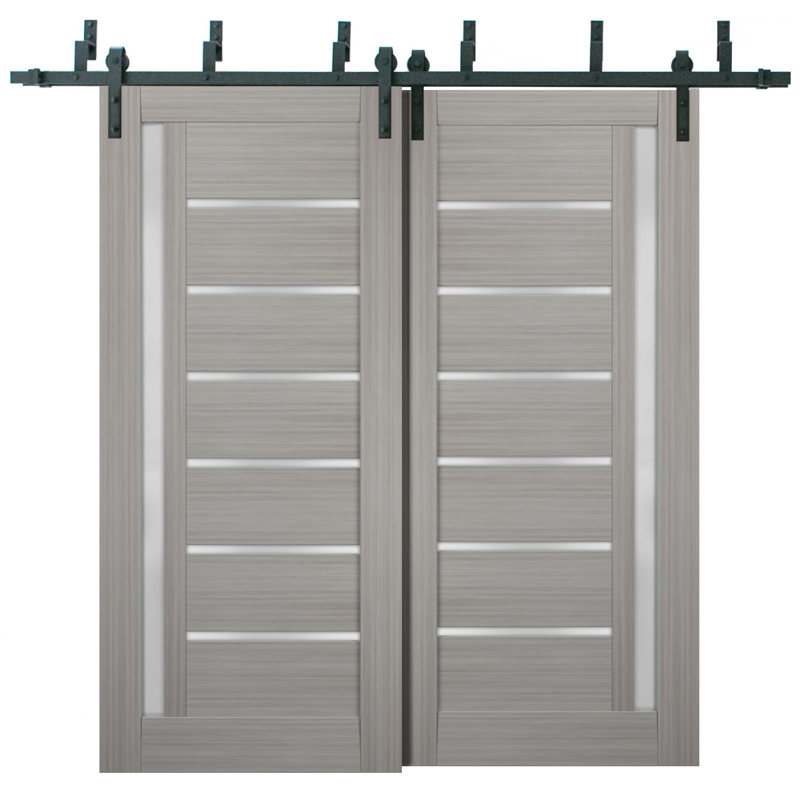 Portes coulissantes de placard en verre dépoli de style grange Quadro 4088, rails robustes de 2 m, quincaillerie, portes de placard de chambre en bois massif - 60 x 80 (2 x 30 x 80)