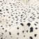 Louis Area Rug in Ivory