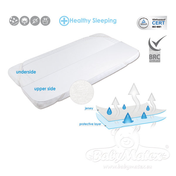 Symple Stuff Mattress Protector Mattress