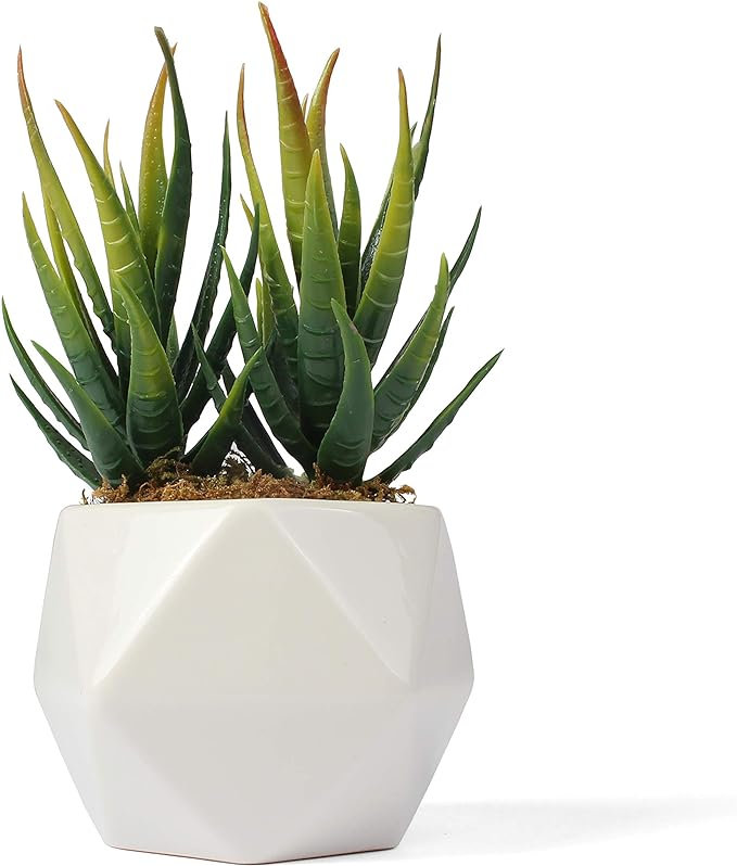 Aloès artificiel 6,25 po dans un vase