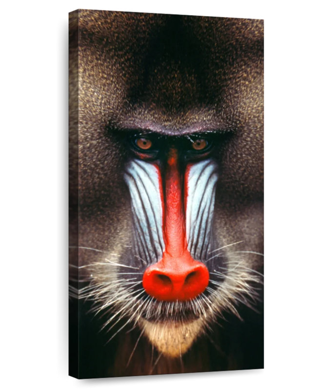 Monkey Head, 24" H x 12" W