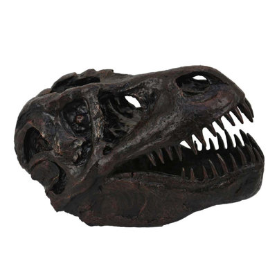 T Rex Skull Decor, Fossil Inspired Dark Brown And Black Resin, 13 Inch
