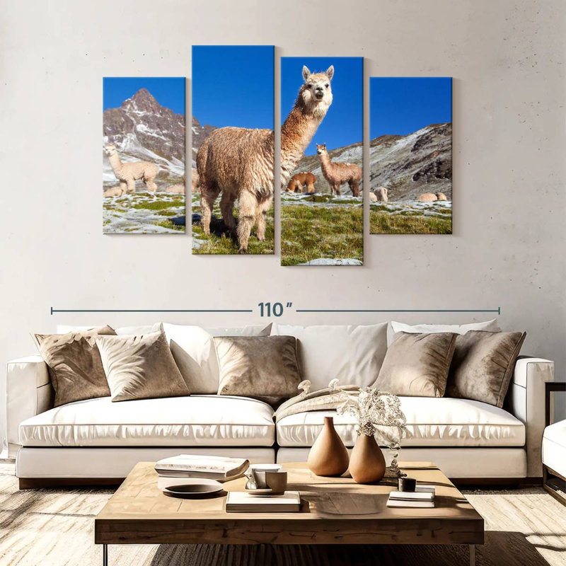 Lamas des Andes Brampt, H 54 po x l 84 po